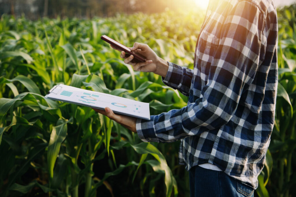 Contabilidade Agronegócio no Espírito Santo Conheça as soluções da Girondolli para o seu negócio