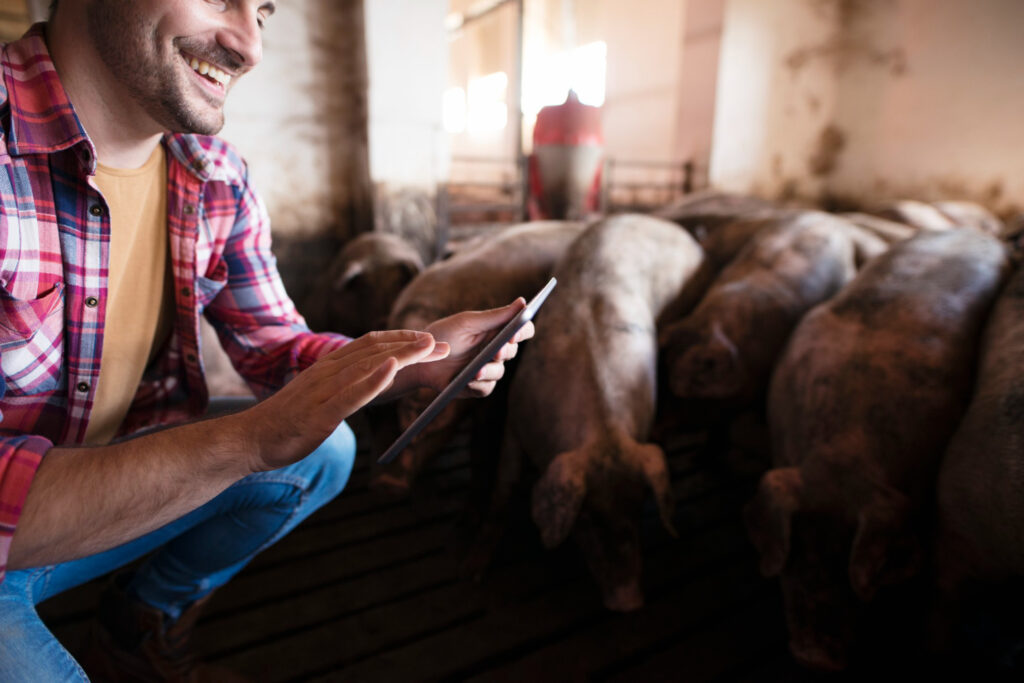 Como um contador especialista pode otimizar os lucros da sua produção rural